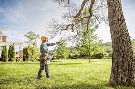 Plant City, FL Tree Services Company